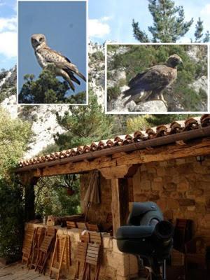 Posada Molino Del Canto Barriolacuesta Esterno foto